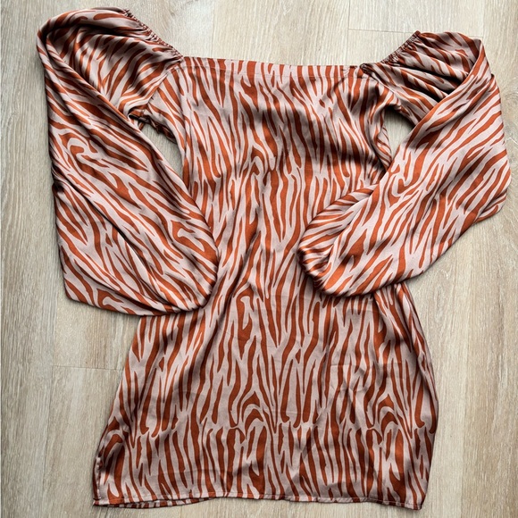 Boohoo Zebra Print Mini Dress - Picture 6 of 6